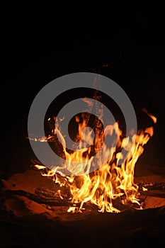 Night Campfire Bonfire in a beach shore, Dusk environment travelling in a black background