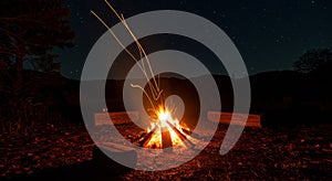 Night Campfire Under Starry Sky