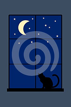 Night cat