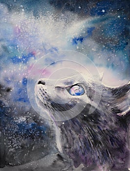 Night cat watercolors painted