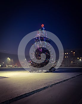 Night christmas tree