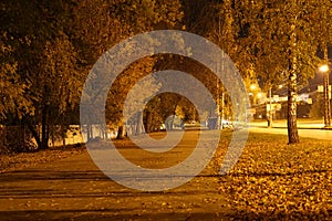 Night city traffic blurred lights headlight road trees autumn lights fanlights lighting cars foliage bush glare background