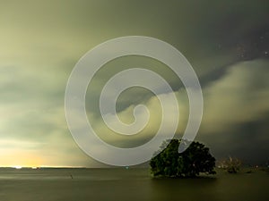 Night cloudy night sky and tree with horizon view on coastline