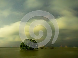 Night cloudy night sky and tree with horizon view on coastline