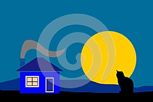 Night country house with black silhouette cat vector