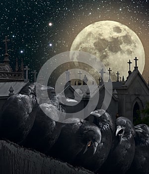 Noche de cuervos 