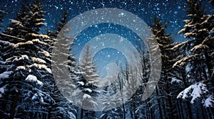 Night dark Forest winter landscape with fir trees on starry sky background. Moody botanical atmosphere illustration