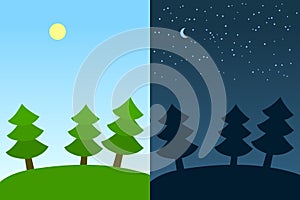 Night and day scenes: fir trees forest under sun and moon, vector