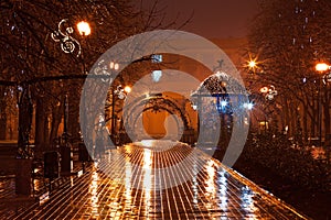 Night decorated alley in the city park