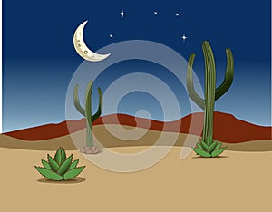 Night desert landscape cartoon design illustration