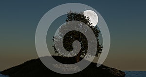 night design with big moon in the mountain digital art ,type painting ,3d illustration , high definition , wallpaper