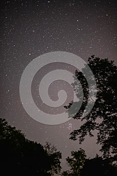 Night details with the sky full of stars observed from an wild place on Earth. Pleiades constellation during autumn