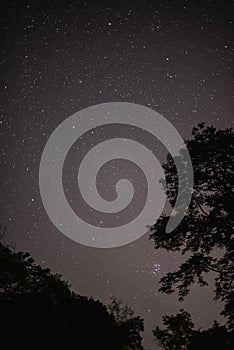 Night details with the sky full of stars observed from an wild place on Earth. Pleiades constellation during autumn