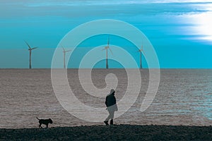 Night dog walker. Solitary beach dog walk at twilight with offshore wind farm turbines
