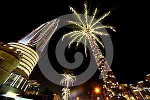 Night Dubai palms with decor lamps and skyscraper