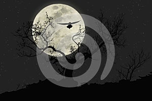 Night flying owl with moon in background