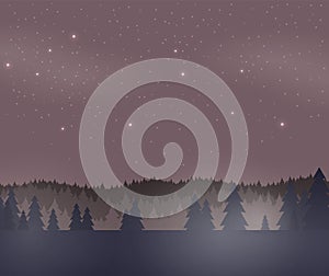 Night forest in flat style. Vector illustration