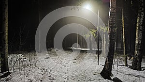 Night forest or park with dark trees, the light of lanterns and fog in the dark in winter with snow. Mysterious