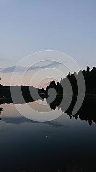 Night forest reflection in a lake