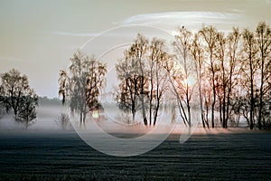 Night frost and fog over the fields.