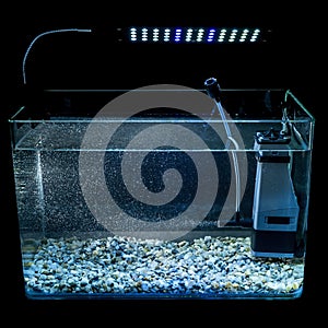 Night illuminated glass aquarium with lamp and air bubbles