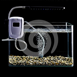 Night illuminated glass aquarium with lamp and air bubbles