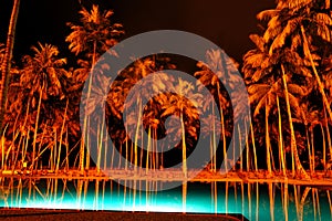 Night illumination of swimming pool and palms