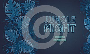 Night in the jungle, adventure in the tropics. Leaves of monstera, palms, lianas in tropical rain forests. Text space.