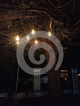 Night lamp under the tree