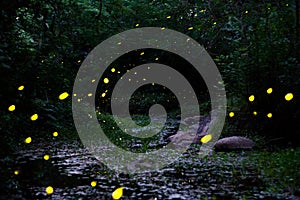night landscape with fireflies in the mountain stream