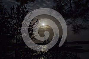 Night landscape and full moon over the lake