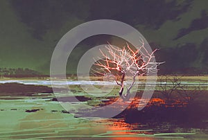 Night landscape with glowing tree