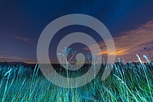 Night landscape with herbs, stars and clouds