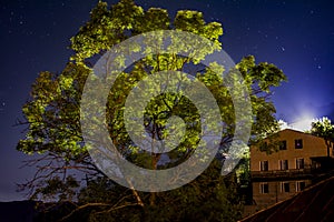 Night landscape with houses and a tree. Night village