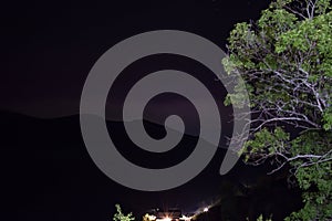 Night landscape. Lonely tree on a background of glowing stars. Starry sky