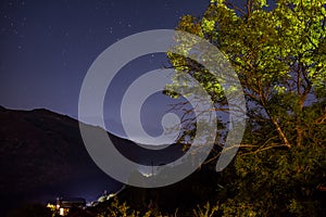 Night landscape. Lonely tree on a background of glowing stars. Starry sky