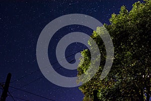 Night landscape. Lonely tree on a background of glowing stars. Starry sky