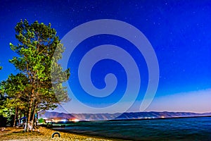 Night landscape, lonely tree by the sea. Bright sky with shining stars