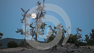 Night landscape nature of Olkhon Island