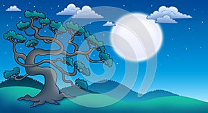Night landscape with old pine tree