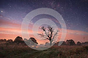 Night landscape with path under stars