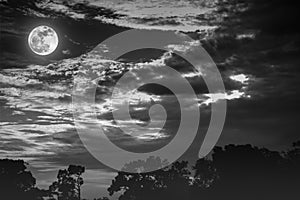 Night landscape of sky with cloudy and full moon above silhouettes of trees. Serenity nature background in gloaming time. Black photo