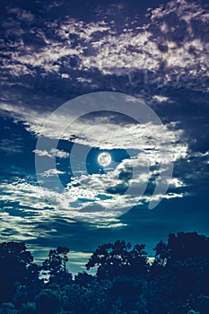 Night landscape of sky with dark cloudy and full moon above silhouettes of trees in forest. Serenity nature background in gloaming photo