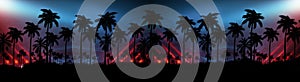 Night landscape with stars, sunset, stars. Silhouette coconut palm trees