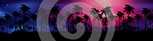 Night landscape with stars, sunset, stars. Silhouette coconut palm trees