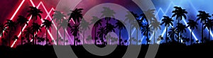 Night landscape with stars, sunset, stars. Silhouette coconut palm trees