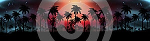 Night landscape with stars, sunset, stars. Silhouette coconut palm trees