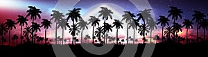 Night landscape with stars, sunset, stars. Silhouette coconut palm trees