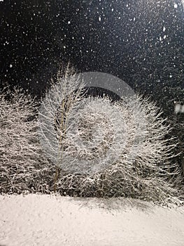 Night landscape with a tree under stars and snow covered valley.