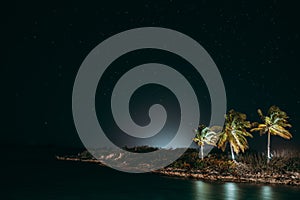 Night landscape of tropical island with palm trees on the shore under  starry sky in Exuma, Bahamas